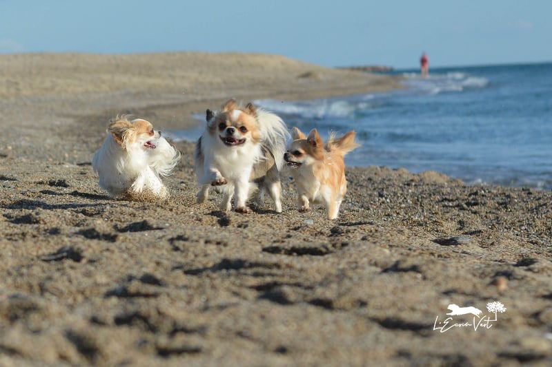 Photos plage 